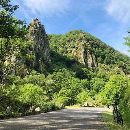 בית נופש Au Bray Bellenaves