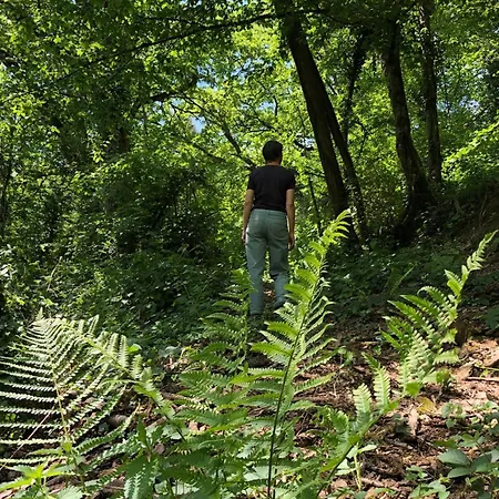 Au Bray Hébergement de vacances
